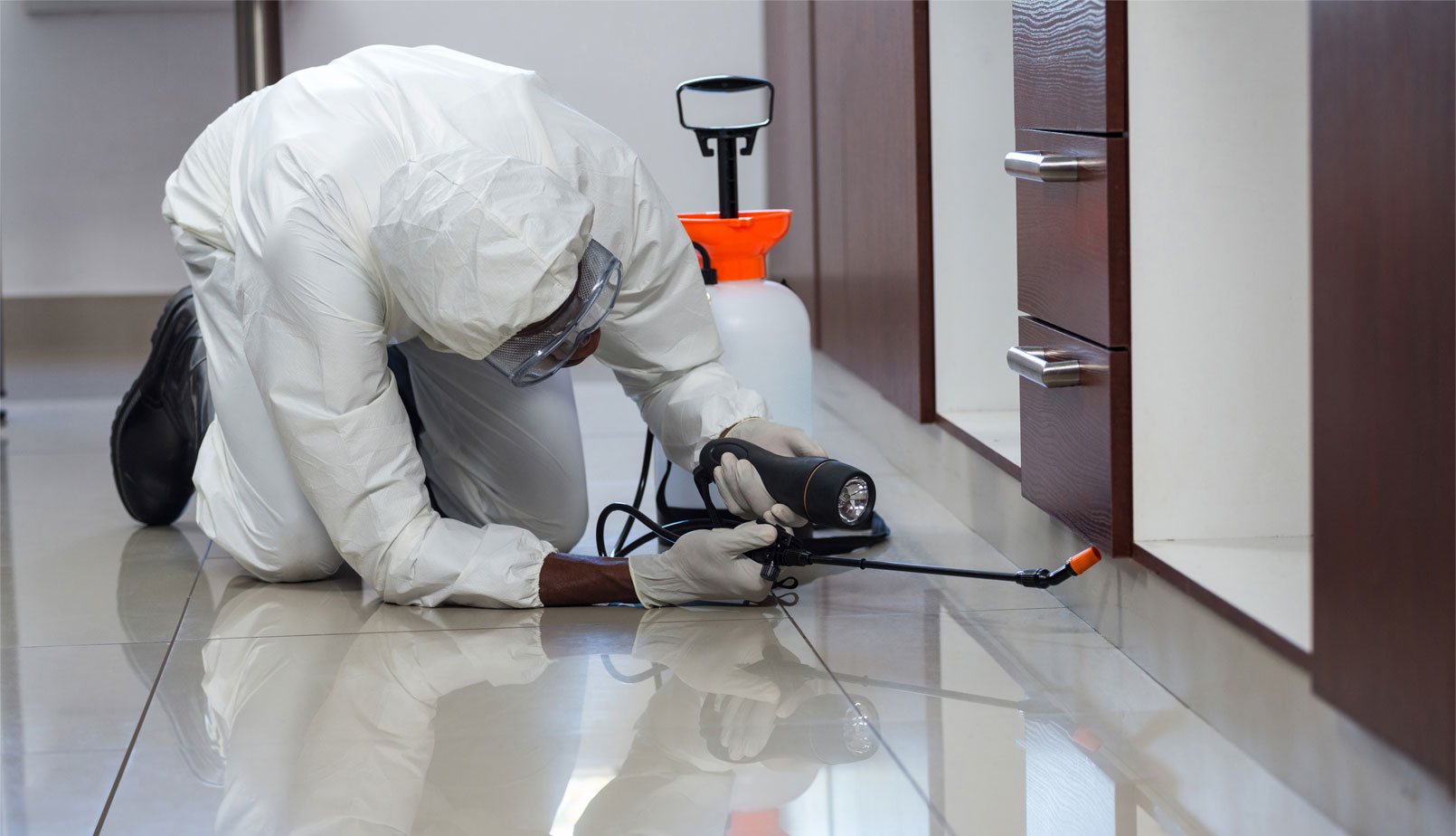 Wynsdale Pest Control