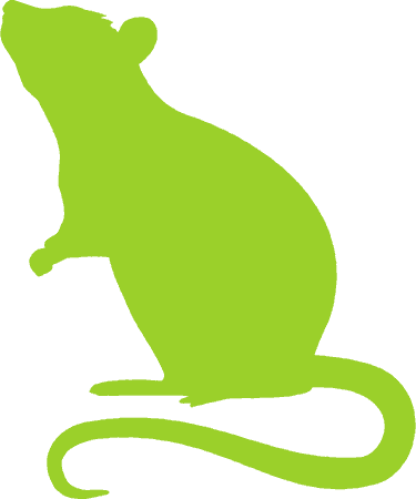 Rodents